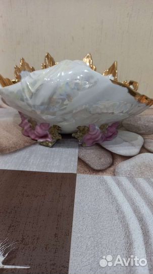 Фарфоровая ракушка