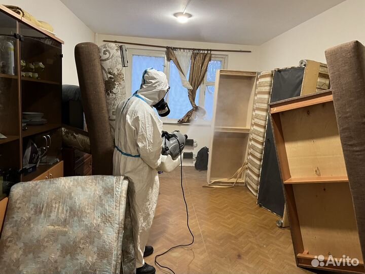 Уничтожение клопов, травить тараканов