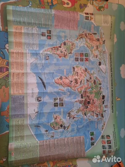 Огромная карта мира