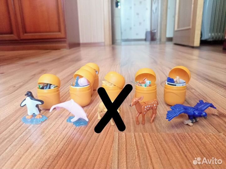 Kinder natoons 2022, 2021