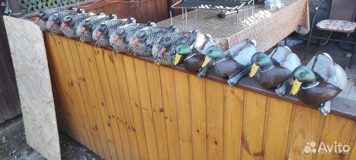 Чучела утиные