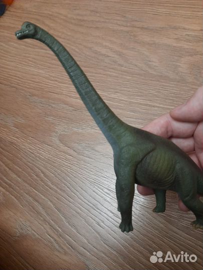 Коллекция животных