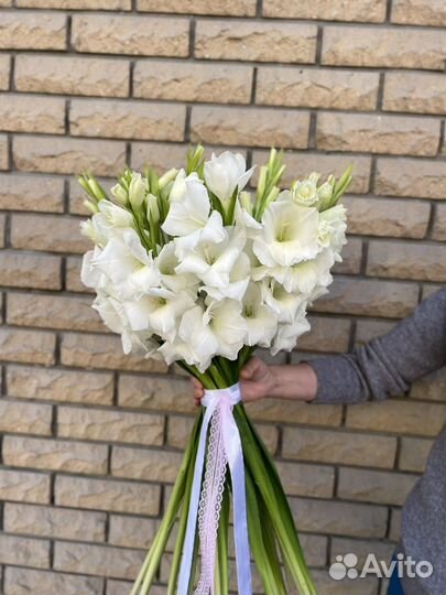 Гладиолусы белые 21 шт