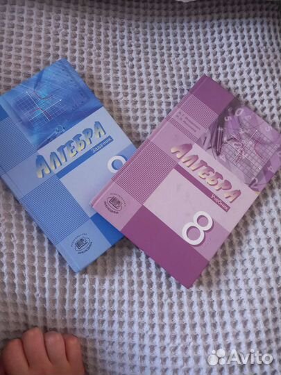 Алгебра, 8 класс. учебник и задачник