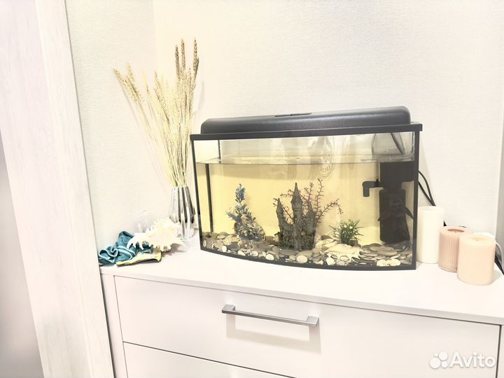 Аквариум с рыбками