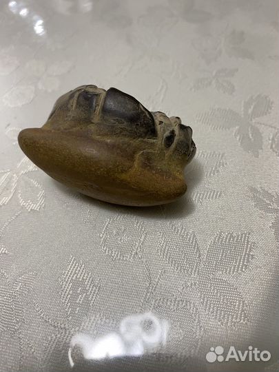 Живая кремнивая форма жизни