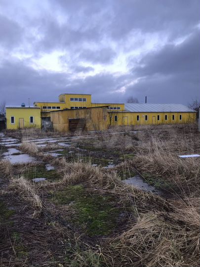 Участок 100 га (СНТ, ДНП)