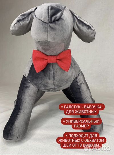 Галстук - бабочка для животных