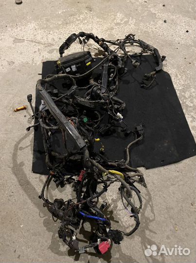 Проводка двигателя Kia Stinger CK 2017-2020