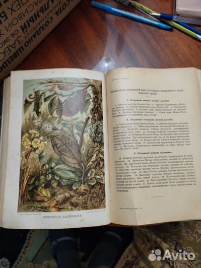 Старинная книга Жизнь животных Брэмь том3 пресм