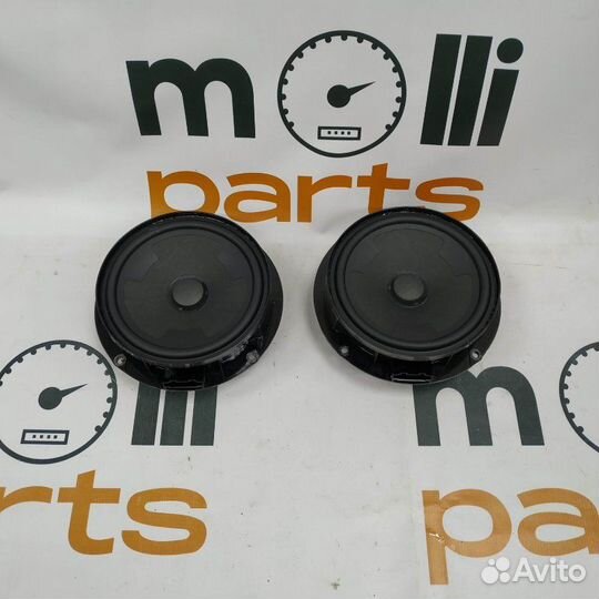 Динамик двери задний Volkswagen Tiguan 2 2017