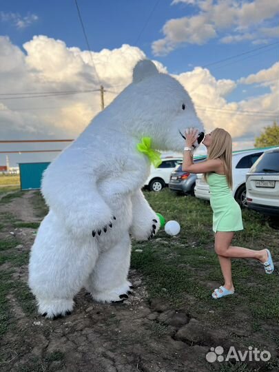 Белый мишка поздравление белый медведь