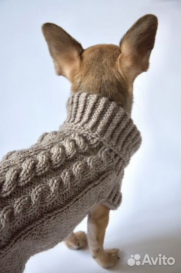 Свитер для собаки