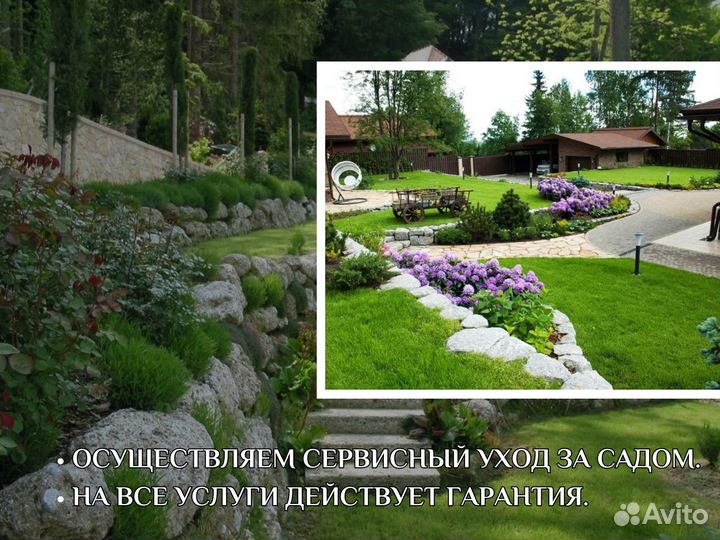 Ландшафтный дизайн. Растения для благоустройства