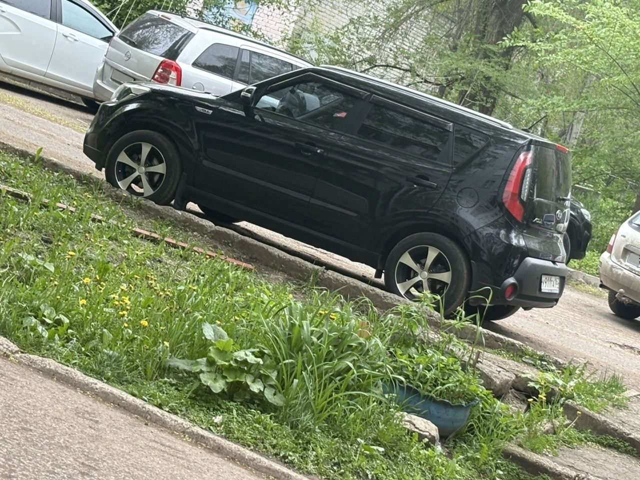 Kia Soul: фото из отзыва