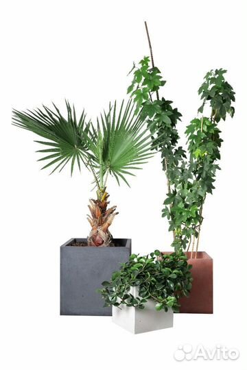 Вазон из бетона в наличии и под заказ