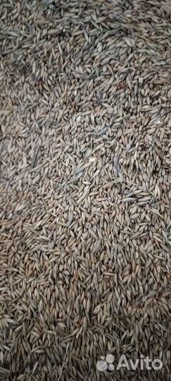 Зернодробилка Лидер 5,5 кВт