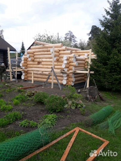 Срубы домов, бань, беседок