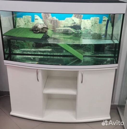 Аквариум для красноухой черепахи