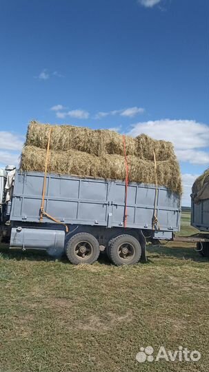 Продам сено в рулонах