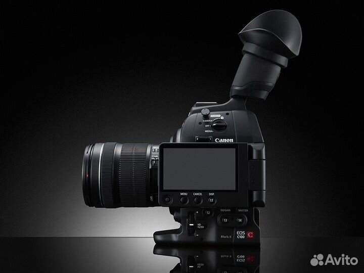 Canon C100 mark ii