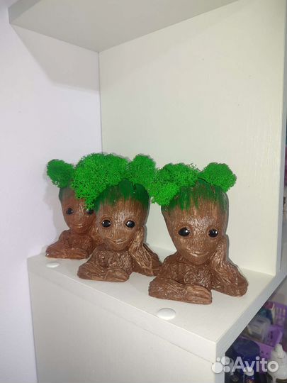 Интерьерное кашпо грут