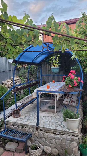 Комната 25 м², 2/3 эт.