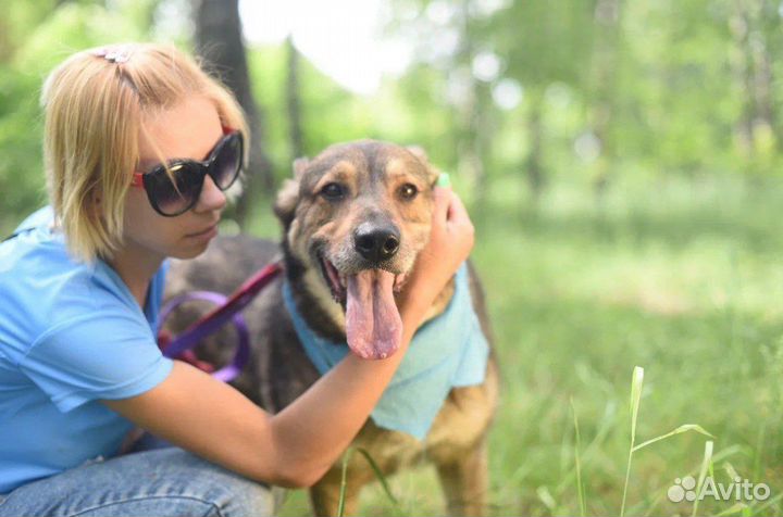 Серж в семью в добрые руки