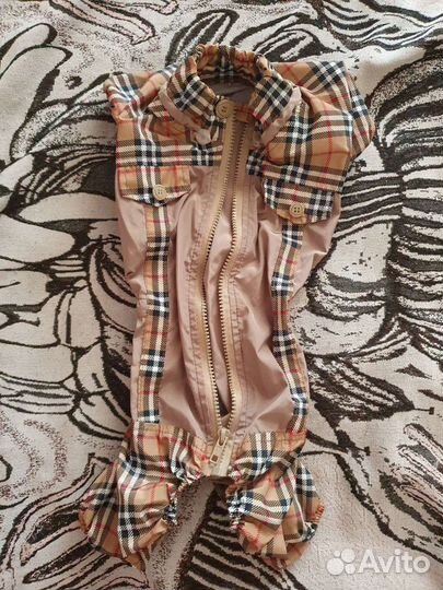 Вещи для собак