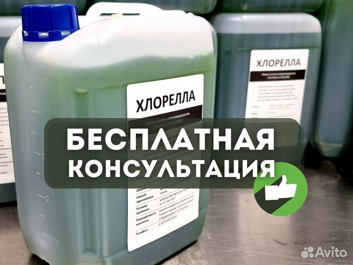 Хлорелла для очистки пруда