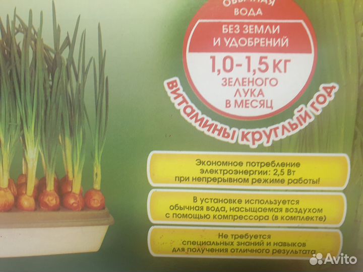 Гидропонная установка для выращивания лука на перо