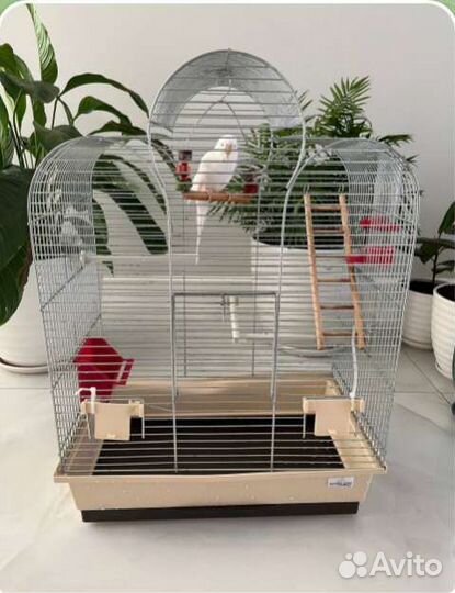 Клетка для птиц
