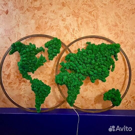 Карта мира из мха с рамкой