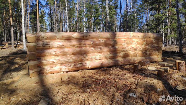 Качественный Сруб бани 7х7 зимний лес ручная рубка