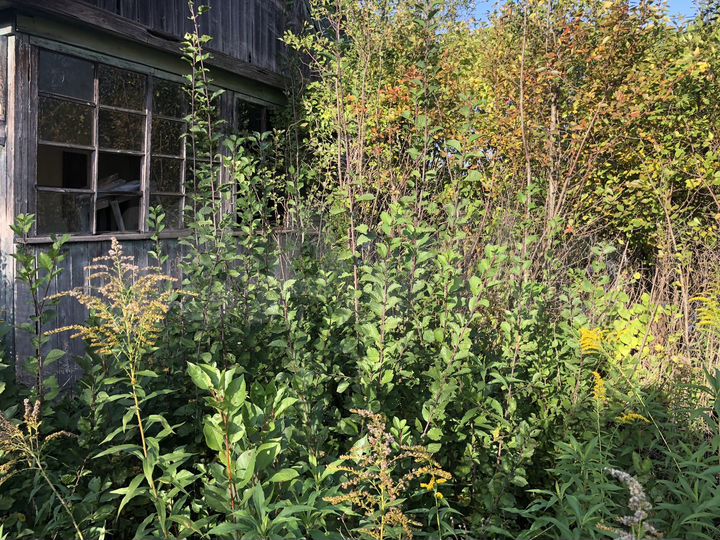 Участок 6 сот. (СНТ, ДНП)