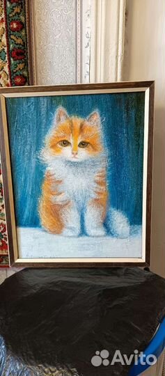 Рыжий котенок