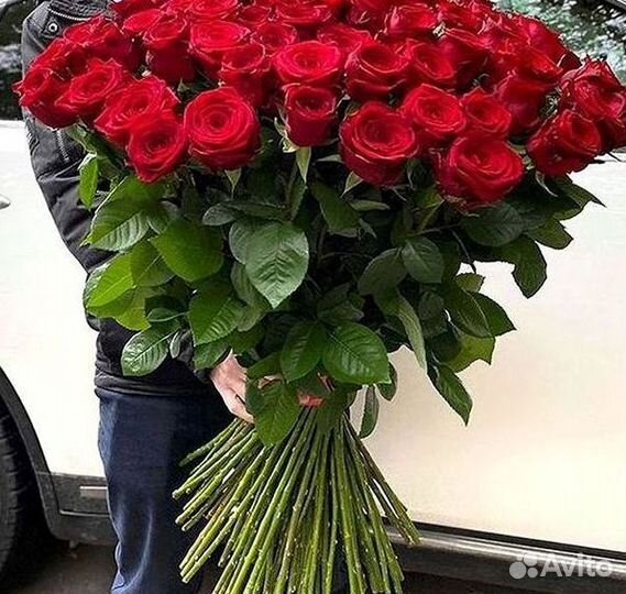 101 роза цветы букеты доставка 25 51 101 роза