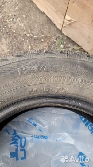 Viatti Bosco Nordico V-523 175/65 R14