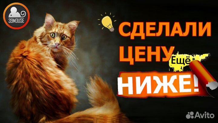 Игровой Современный Пк Intel Core i5 / Гарантия