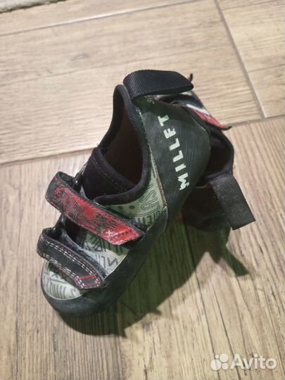 Скальники детские