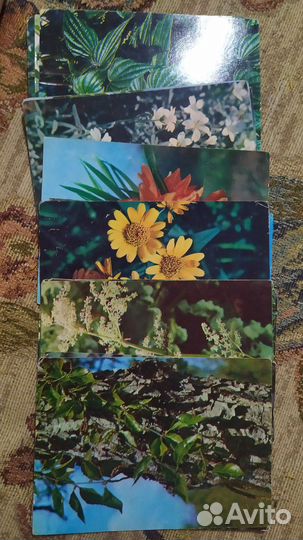 Открытки СССР