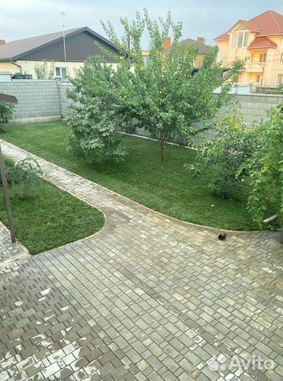 Газон в рулоне