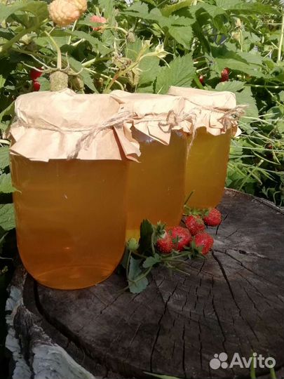 Липовый Мёд 2023