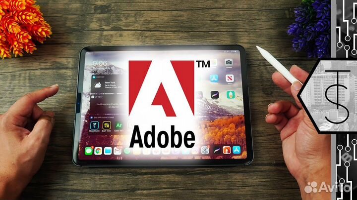 Adobe Photoshop/Acrobat/Premier/After Effects 2024