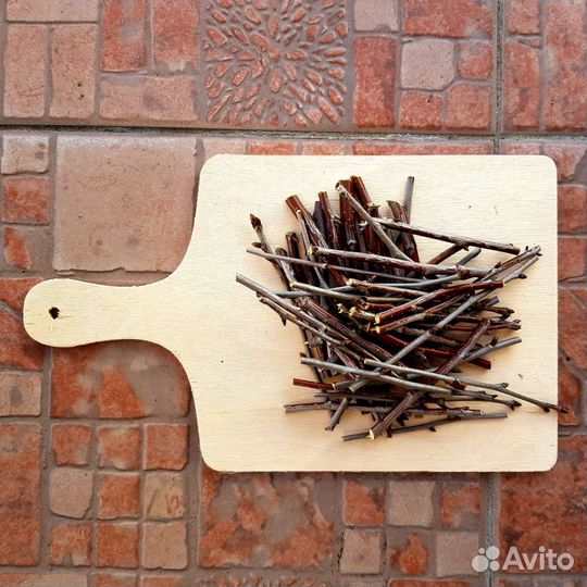 Лакомство ветки для грызунов