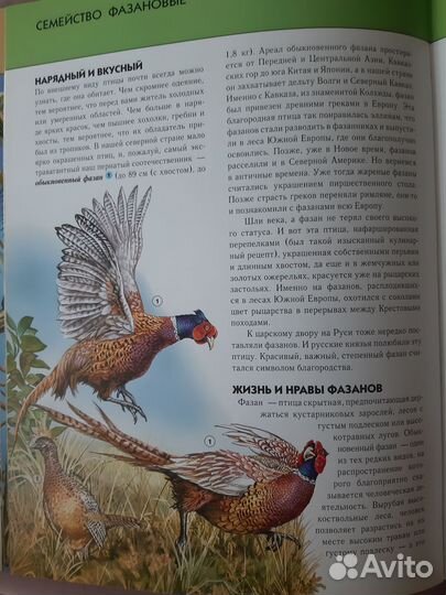 Птицы. Полная энциклопедия