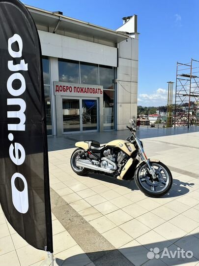 Harley-Davidson V-ROD muscle