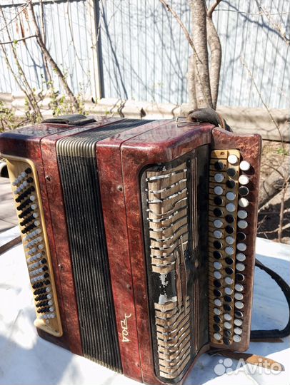 Гармонь Этюд