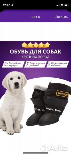 Ботинки для собак