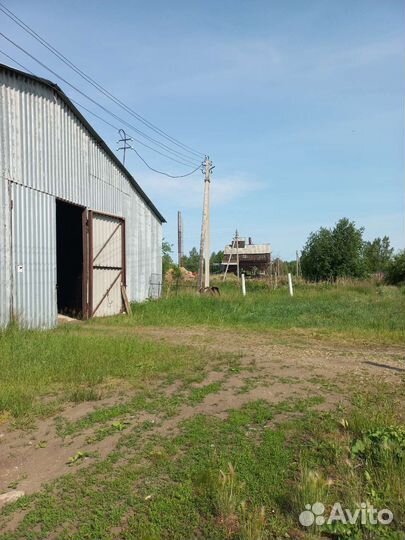 Продам готовый бизнес сельское хозяйство